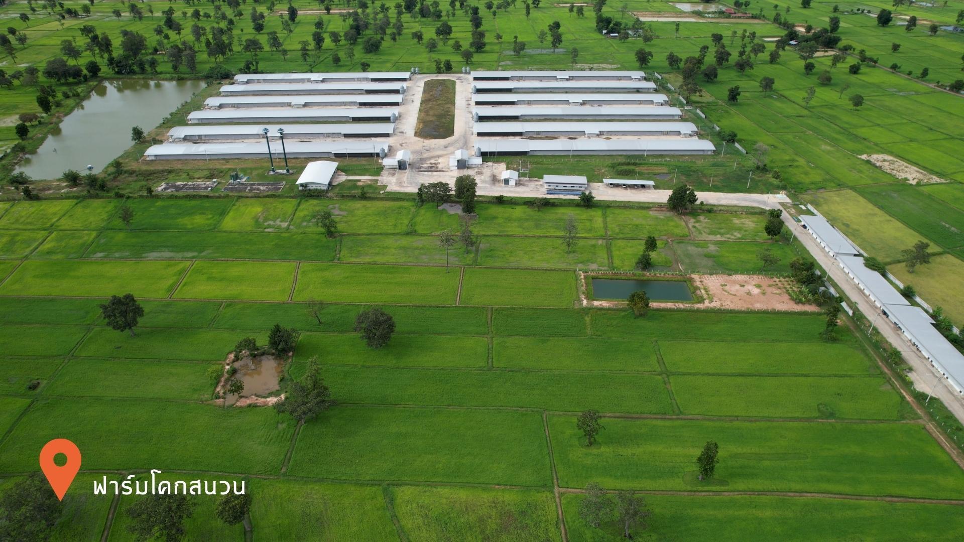 Chuwit Farm signals strong H2 2026 growth and expands into egg business