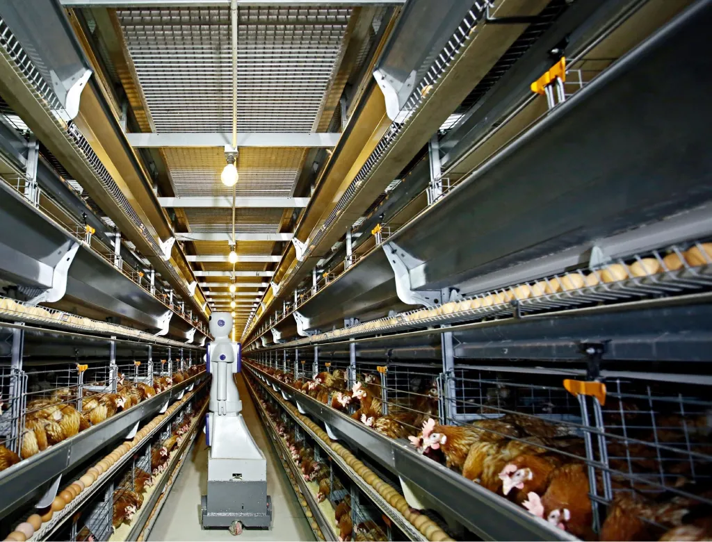 CP Group expands deep roots in China’s agrifood sector