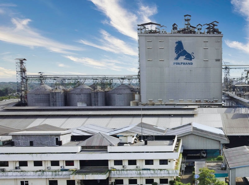 Laba Charoen Pokphand Indonesia naik 41% per kuartal III-2025