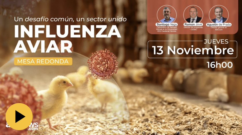 Influenza aviar 2025: Situación actual, riesgos y estrategias de control — Directo aviNews España