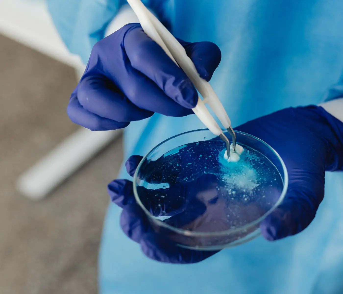 NOVUS amplia pesquisa em microbiologia e fermentação
