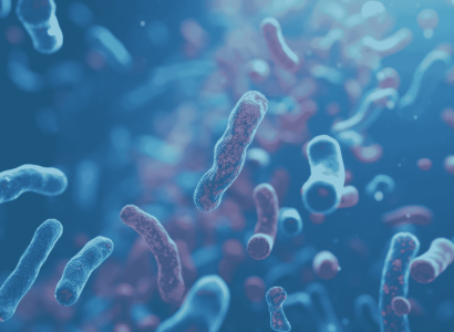 Vacunas de Salmonella y probióticos: compatibilidad comprobada