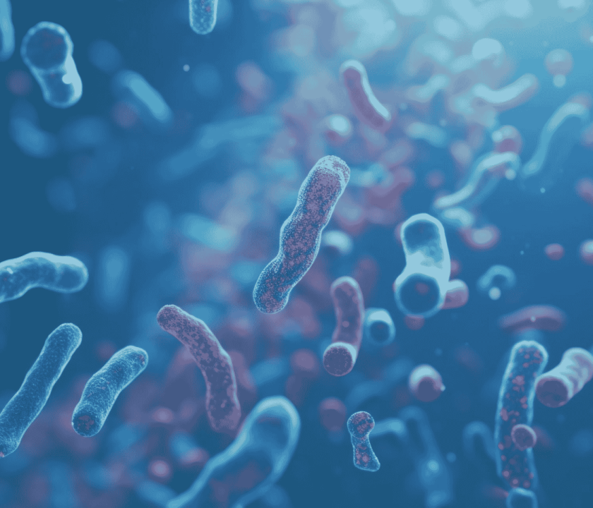 Vacunas de Salmonella y probióticos: compatibilidad comprobada