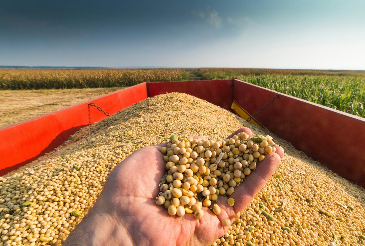 Nepali poultry producers increasingly prefer US soy