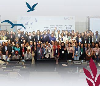 De Foz para o mundo: previsibilidade para o comércio, blindagem para a sanidade