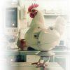Mentalidad GIG aplicada al procesamiento de los pollos para mejorar la productividad integral
