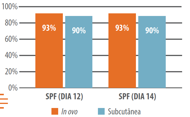 Figura 2. Proteção da vacina Poulvac® Procerta® HVT-IBD após um teste de desafio precoce contra IBD muito virulenta em SPFs1