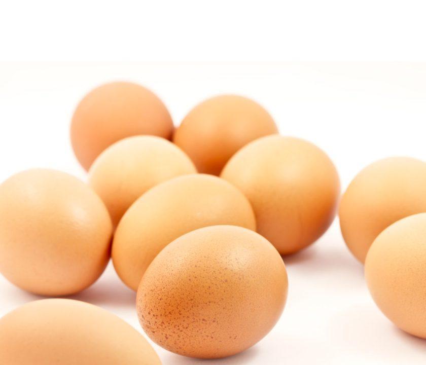 Ecuador: Sobreproducción de huevos en el mercado interno pone en jaque a avicultores