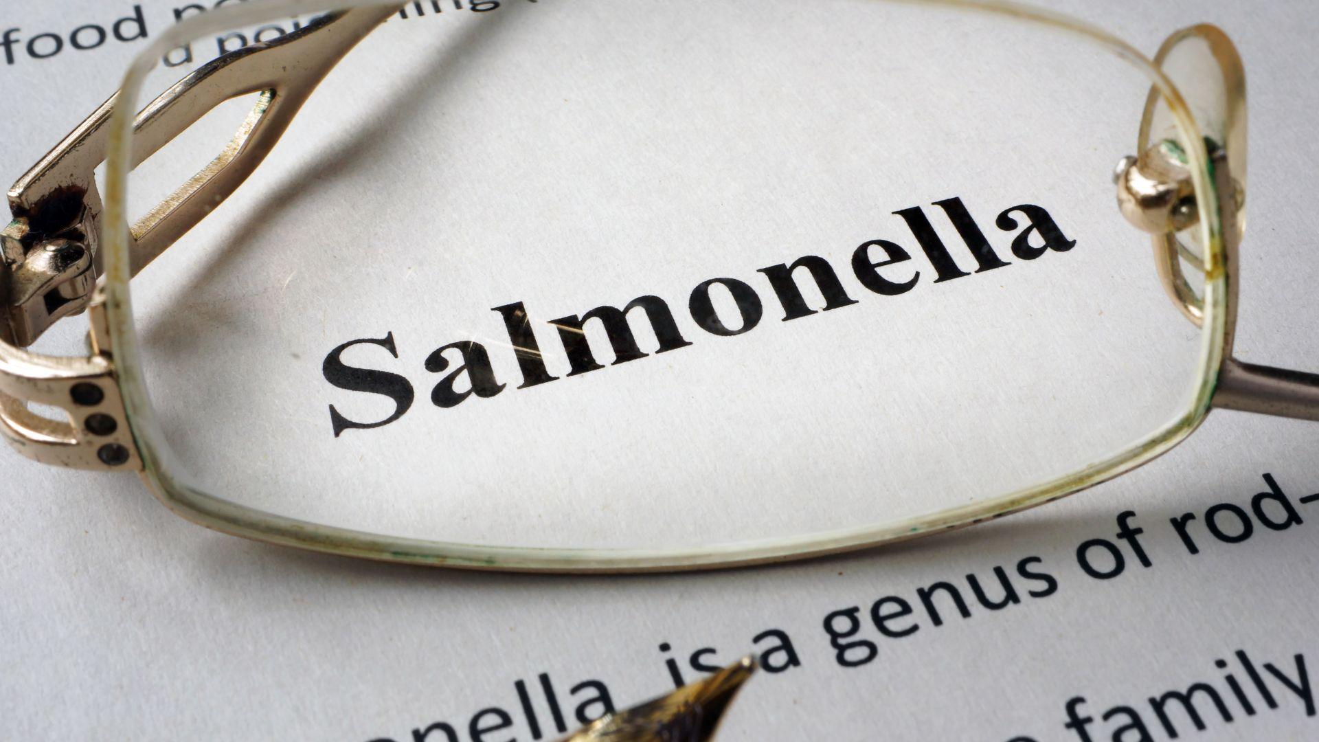 Việt Nam siết chặt giám sát Salmonella trên đàn gà đẻ phục vụ xuất khẩu