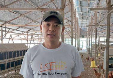 Cage-free