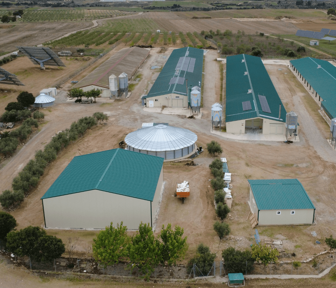 La visión productiva de Avícola Perelló y una década de colaboración estratégica con Agrener