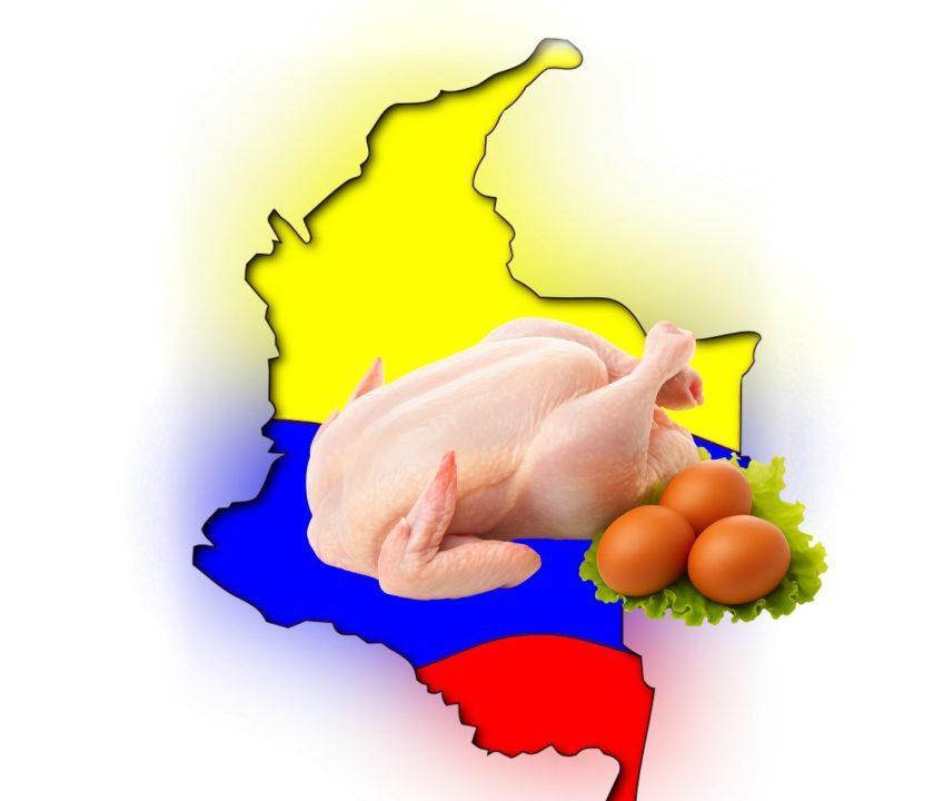 Nuevo impulso del sector avícola colombiano: Entre la demanda interna y los mercados externos