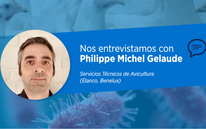 La amenaza actual de Salmonella Infantis: Impacto en la salud pública y el sector avícola