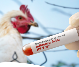 Influenza Aviar H5 y H7