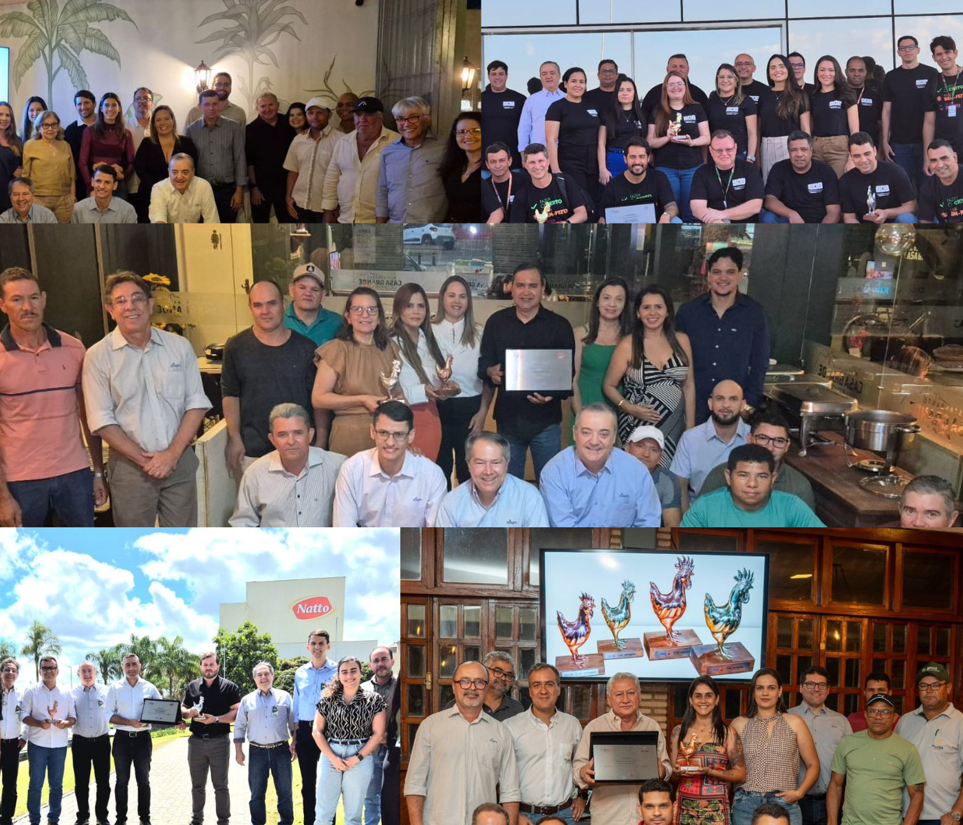 Premios Reproductor Ross 308 AP galardonan la excelencia en regiones Central-Oeste, Norte y Noreste de Brasil