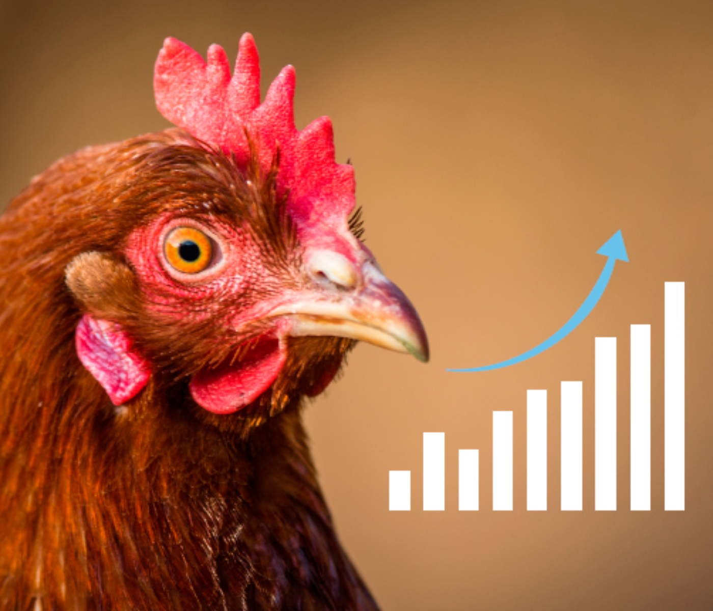 NOVUS Eleva el Estándar de la Nutrición Animal en México
