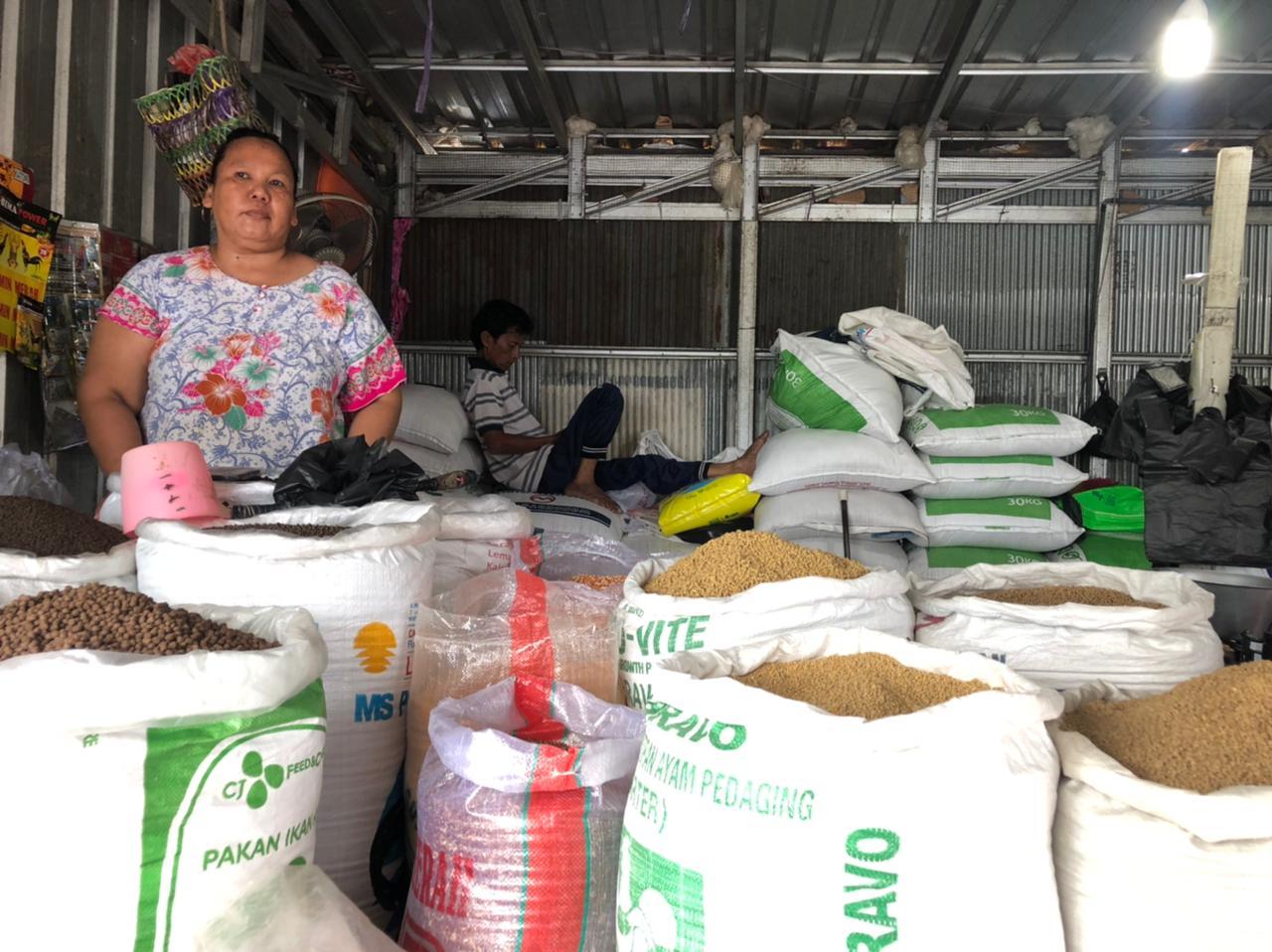 Pemerintah monitor harga pakan harian demi jaga stabilitas bisnis peternakan