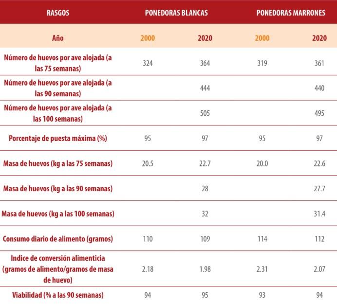 nutrición gallinas ponedoras