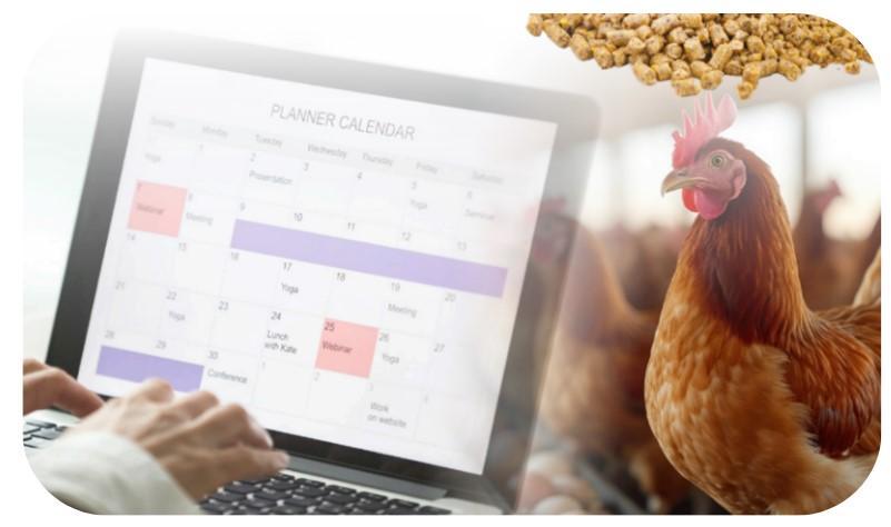 nutrición gallinas ponedoras