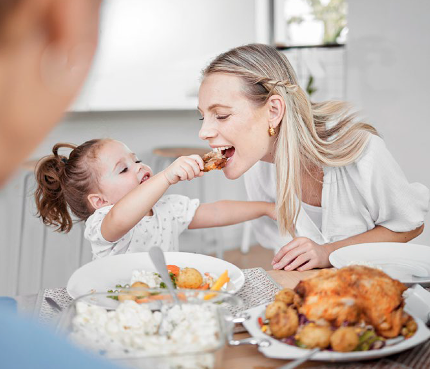 Broiler Meat and Carcass Quality: The Critical Role of Mineral Nutrition