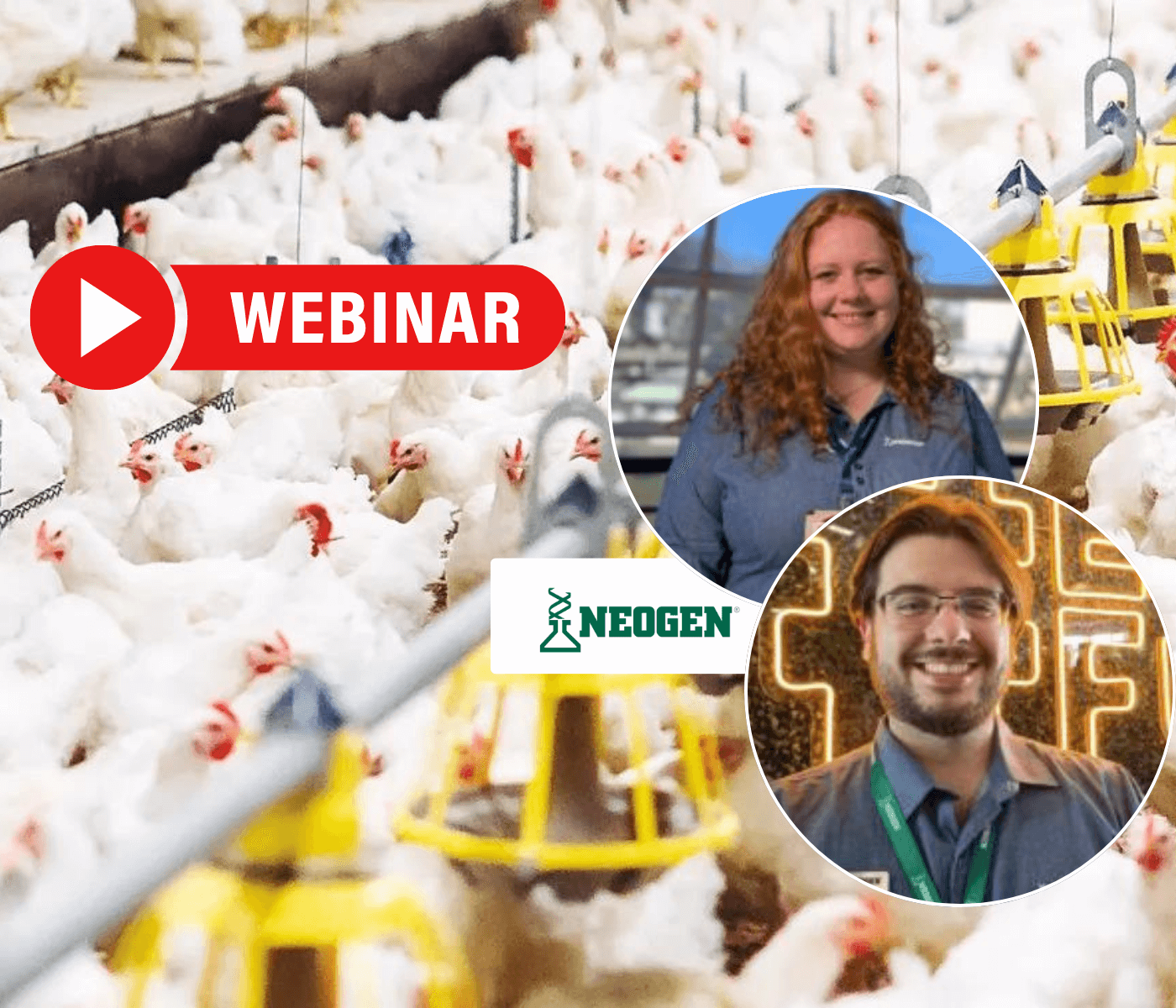 Participe do Webinar da Neogen sobre Controle de Pragas em Granjas!
