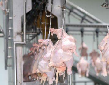 Process control