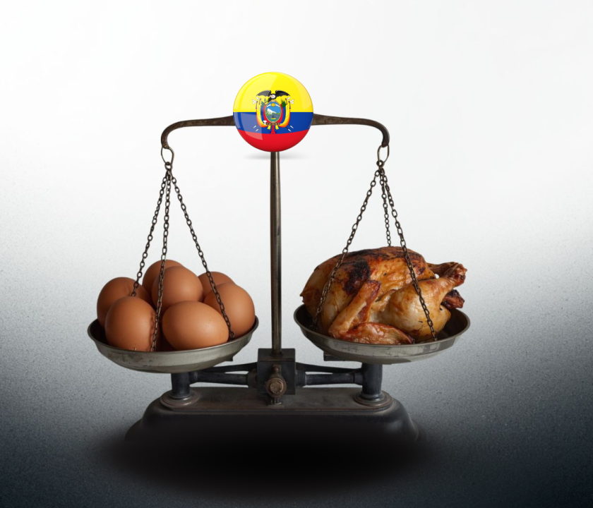 ECUADOR SECTOR AVÍCOLA ESTADÍSTICAS HUEVOS POLLOS