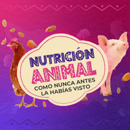 http://nutriforum