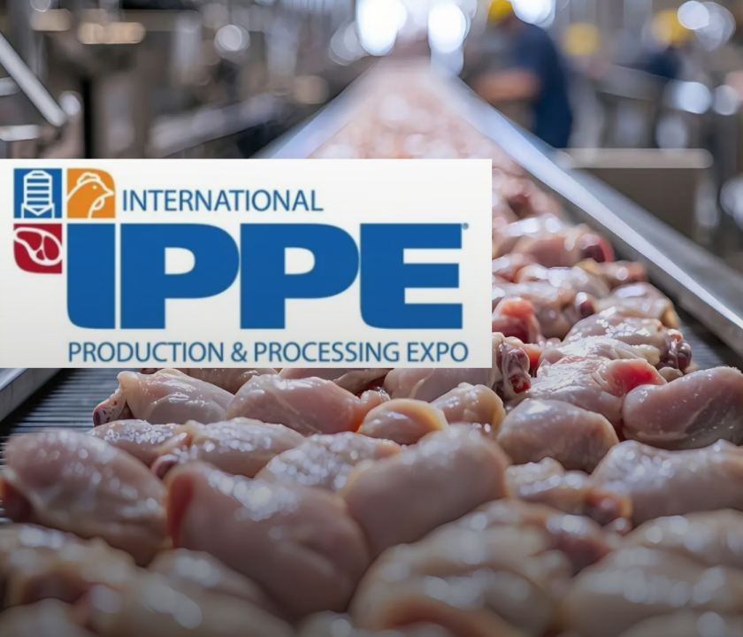 IPPE 2026 PROCESAMIENTO