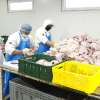 Meat PRO News