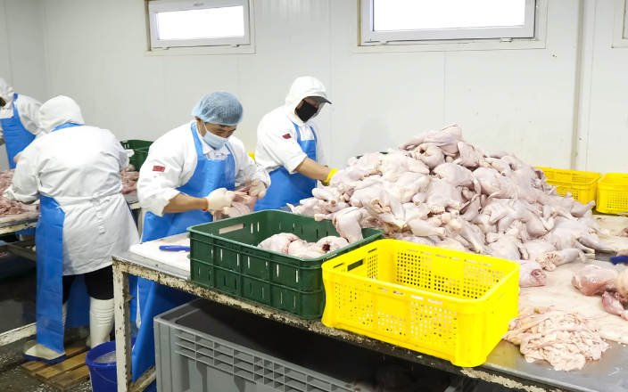 Introducing Meat PRO News: A New Era in Poultry Industry Coverage