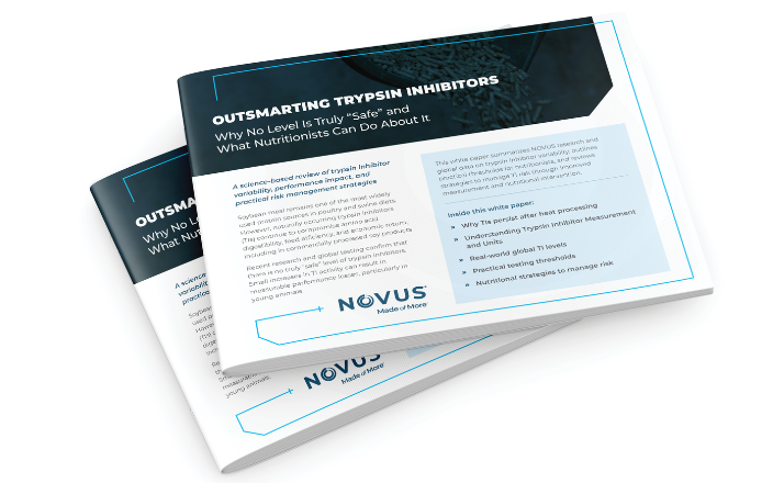 NOVUS Releases Global Soybean Data, Highlights Risk Hidden in Poultry...