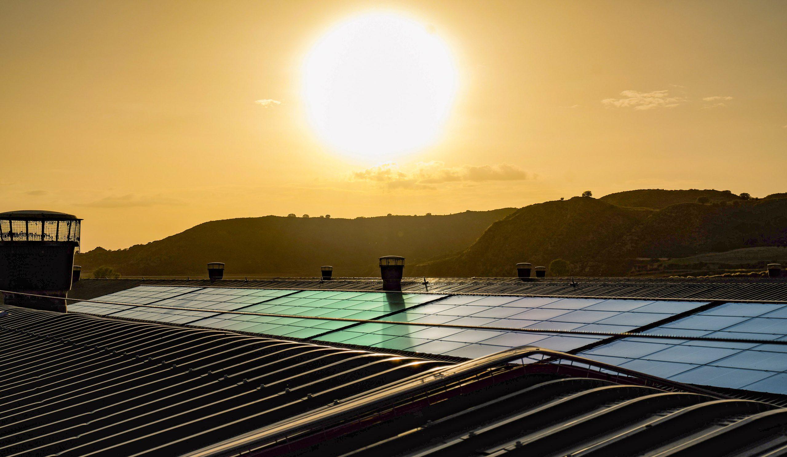 Sostenibilidad en el día a día: Aviagen lanza el Informe de Sostenibilidad 2024
