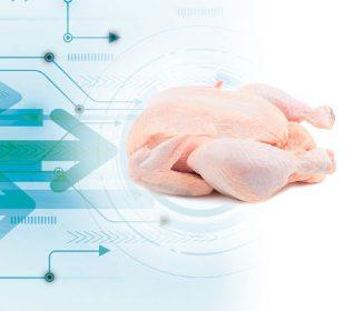 Imagen Revista Ishikawa Diagram Applied to Processing of Chickens