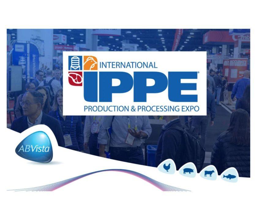 IPPE