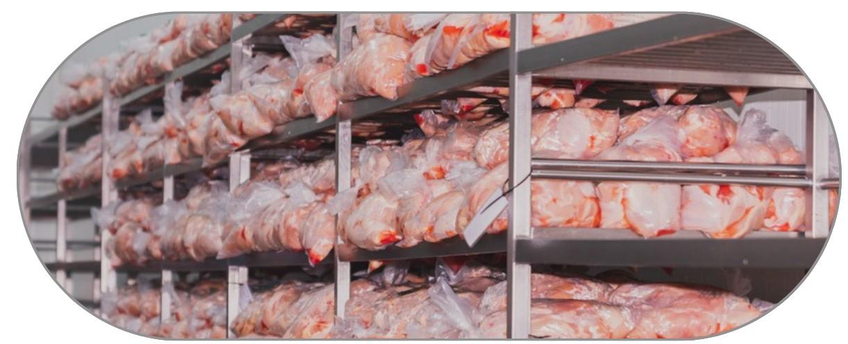 procesamiento avícola: Del PROCESADO HASTA ALMACENAMIENTO EN CÁMARAS FRIGORÍFICAS