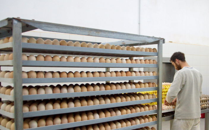Preventive Maintenance in Bird Incubators