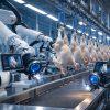 Automatización y Robotización en el Procesamiento Avícola: Innovación en la Industria de Pollo
