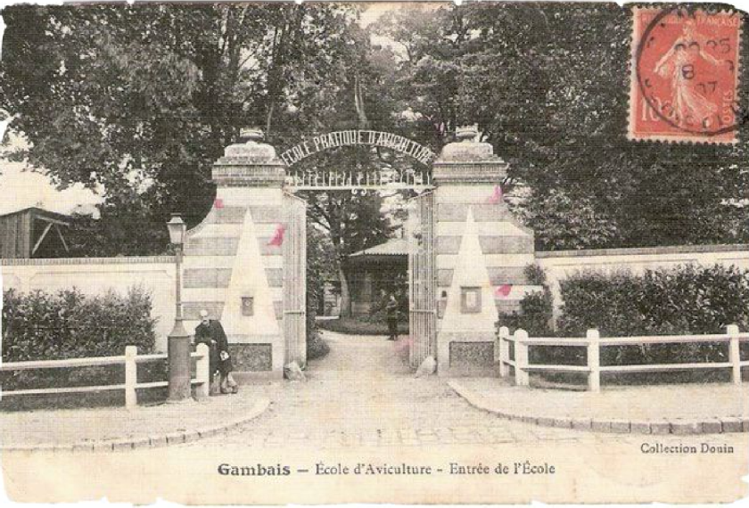 granja El Gallo de Plata