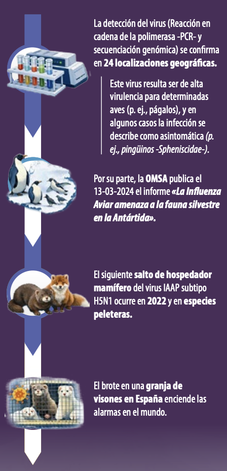 riesgo zoonótico H5N1