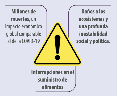 riesgo zoonótico H5N1