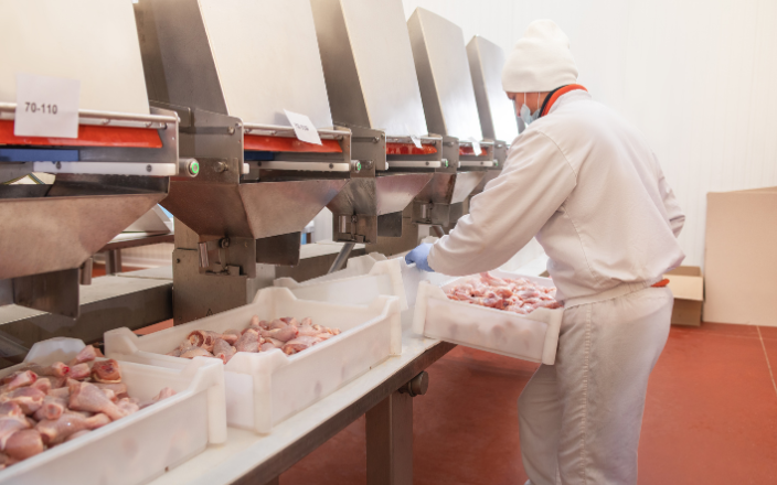 Marketing and Management in Processed Chicken