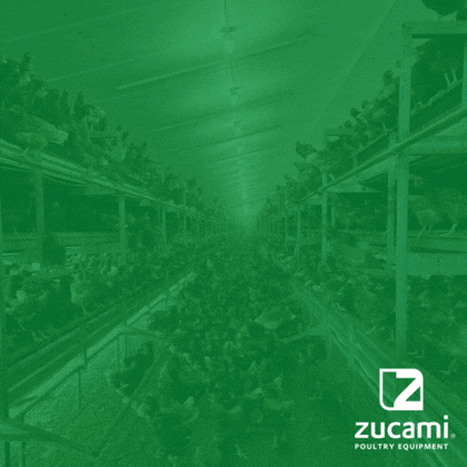 http://Zucami%202026%20banner