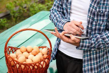 brown eggs