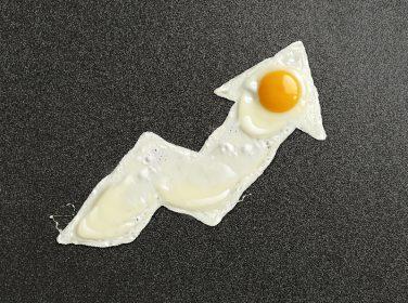 economia y exportación de huevos