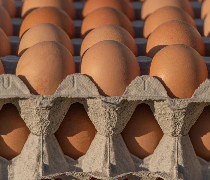 huevos-colombia-noticia