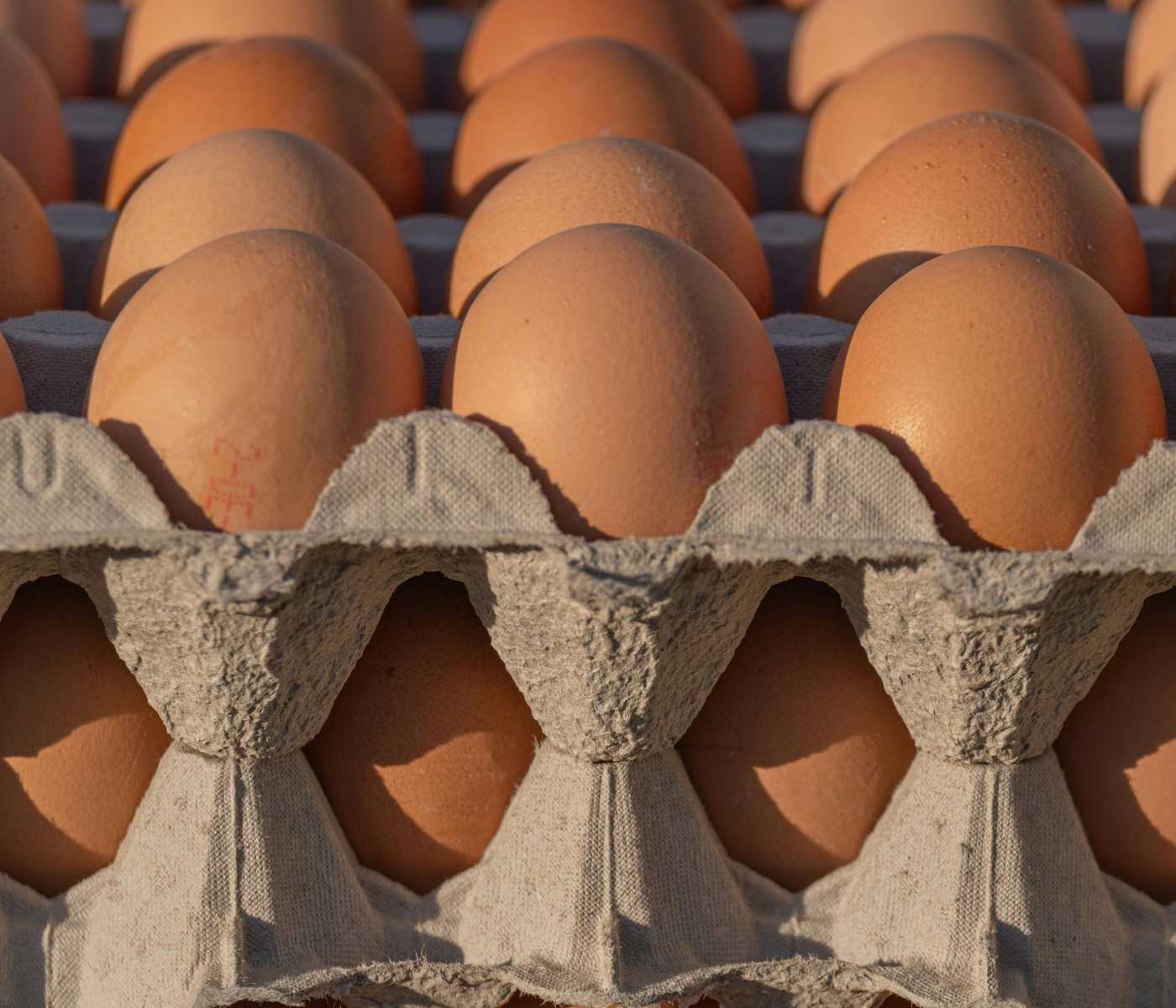 Colombia: Gobierno comprará más de 4 millones de huevos en Cundinamarca