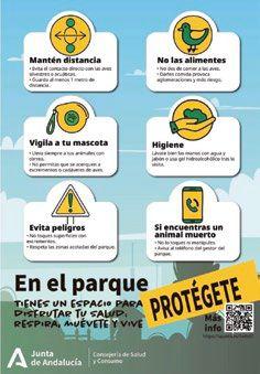 riesgo zoonótico H5N1