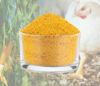 Imagen Revista HPDDG: ingrediente que nasceu na “energia” e está conquistando espaço na avicultura
