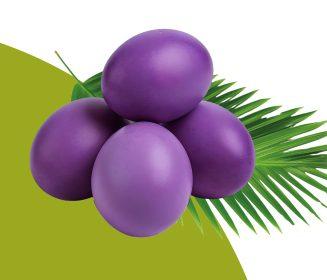 Imagen Revista Revestimentos de resíduo de açaí na conservação de ovos